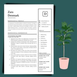 First Impression resume template, make a stand-out impression and land your dream job, word editable resume file