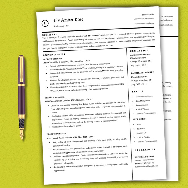 Modern Resume template 11.jpg