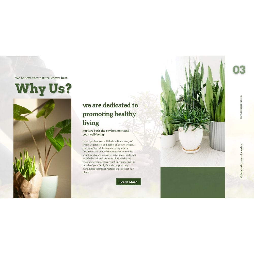 Inventive Designs Unleash Creativity With Canva Brochures Digital Branding Portfolio Business Broch