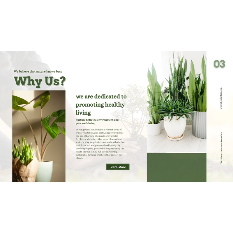 Inventive Designs Unleash Creativity With Canva Brochures Digital Branding Portfolio Business Broch