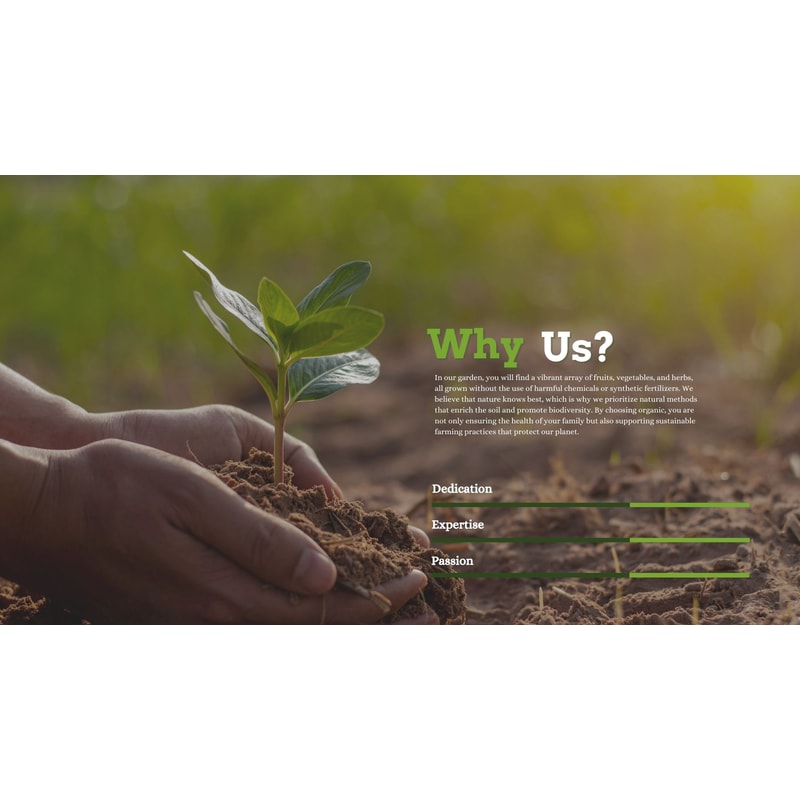 Inventive Designs Unleash Creativity With Canva Brochures Digital Branding Portfolio Business Broch