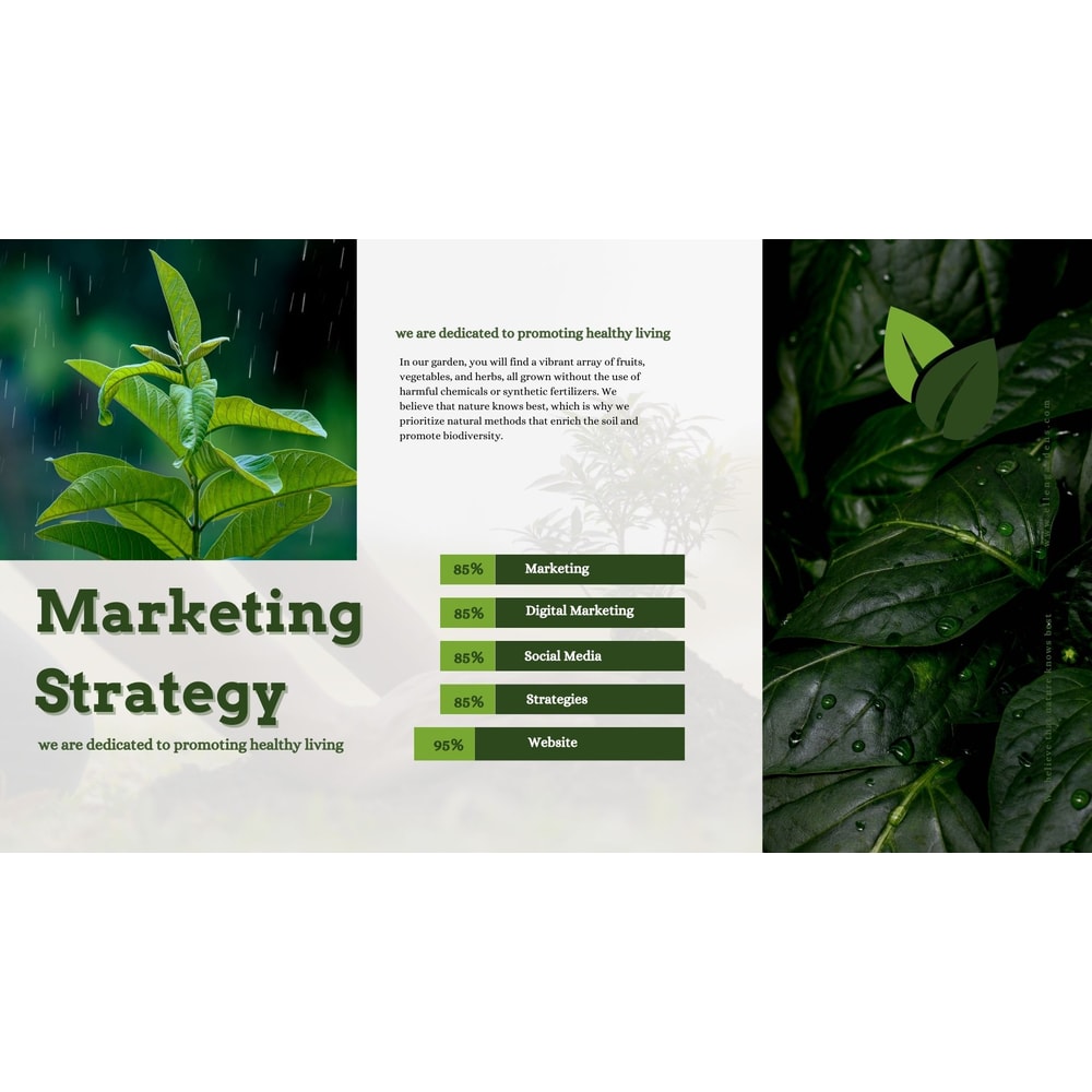 Inventive Designs Unleash Creativity With Canva Brochures Digital Branding Portfolio Business Broch