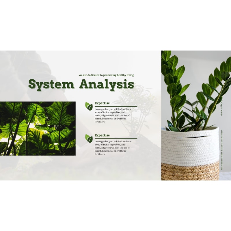 Inventive Designs Unleash Creativity With Canva Brochures Digital Branding Portfolio Business Broch