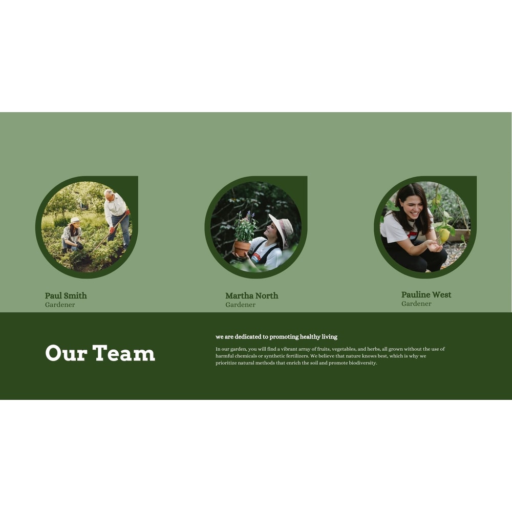 Inventive Designs Unleash Creativity With Canva Brochures Digital Branding Portfolio Business Broch