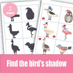 An educational game for children. Find the shadow of a bird. PDF. digital download