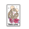 23.png