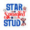 Star Spangled Stud-01.jpg