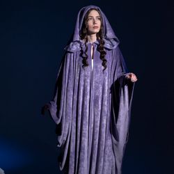 Arwen purple velvet cape