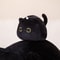 Small Cuddly Black Cat Plush Doll Stuffed Round Ball Cat Plushie Keychain Pendant Toy For Girls 4