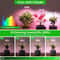 Adjustable Dimmable LED Grow Light Full Spectrum Hydroponics Plant Lamp For Indoor Growing With Tim 3