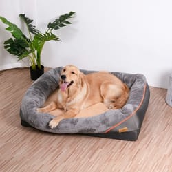 jumbo large orthopedic dog bed memory foam quilted bolstered pet couch elevated cushion warm waterproof mattress