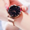 Women Dress Clock Diamond Quartz Watch Starry Sky Mesh Belt Magnet Buckle Watch 4
