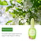 Indoor Aromatherapy Air Freshener To Remove Odor One Drop Of Deodorant Toilet Deodorant Fragrance L 6