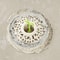 Anti Clog Embedded Floor Drain Hair Filter with Sprout Design Sink Strainer Bathroom Hair Catcher