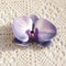 3D Print Orchid Head Silicone Cotton Artificial Butterfly Flowers Wedding Souvenir Party Decor Gift 4
