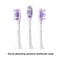 Sonic Sweep Vibration Electric Toothbrush Replacement Head Original Brush Heads 6