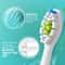 Replacement Toothbrush Heads For Philips Soft Electric Brush Compatible Pack 3
