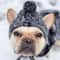 Pet Knitted Accessories Windproof French Bulldog Hat Chihuahua Wool Outdoor Pet Warm Hat with Plush Ball