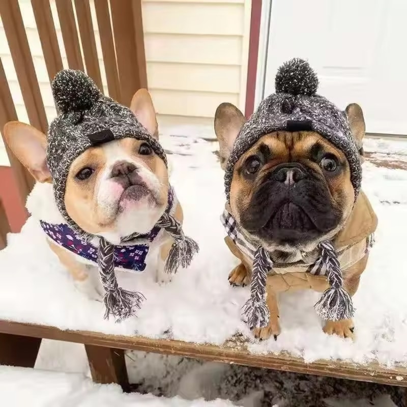 Pet Knitted Accessories Windproof French Bulldog Hat Chihuahua Wool Outdoor Pet Warm Hat with Plush Ball