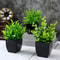 Artificial Green Plants For Office Home Greening And Outdoor Gardens Wedding Birthday Party Decorat 0