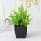 Artificial Green Plants For Office Home Greening And Outdoor Gardens Wedding Birthday Party Decorat 6