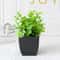 Artificial Green Plants For Office Home Greening And Outdoor Gardens Wedding Birthday Party Decorat 9