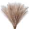 Large Pampas Tree Branches Artificial Reeds Tall Plush Faux Grass For Wedding Decoration 11