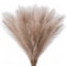 Large Pampas Tree Branches Artificial Reeds Tall Plush Faux Grass For Wedding Decoration 11