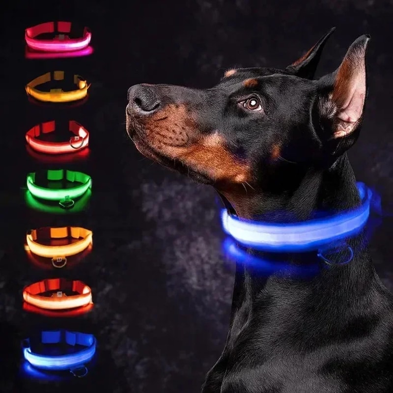 Adjustable LED Glowing Dog Collar Rechargeable Flashing Luminous AntiLost Night Light Harness For S 0