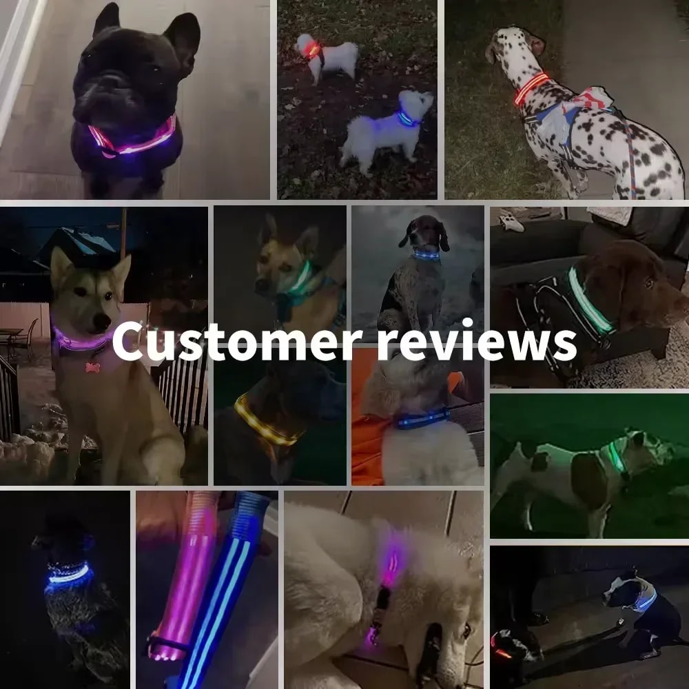 Adjustable LED Glowing Dog Collar Rechargeable Flashing Luminous AntiLost Night Light Harness For S 2