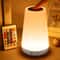 Portable RGB Night Lamp with LED Color Changing Remote Control Dimmable Touch USB Rechargeable Table Bedside Lamp