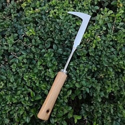 stainless steel gardening weeding tool for digging wild vegetables herbs bonsai loosening soil perfect gift for holidays
