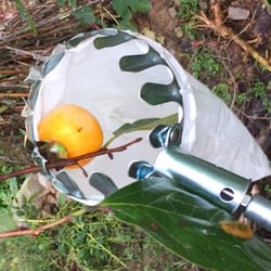 high altitude telescopic fruit picker tools garden fresh orange catcher pole