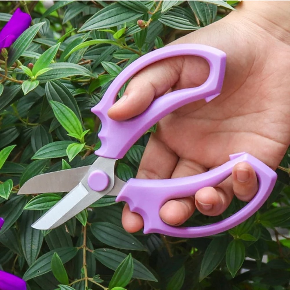 Floral Shears Professional Flower Scissors Comfortable Grip Pruning Shears Bonsai Scissors 1