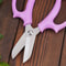 Floral Shears Professional Flower Scissors Comfortable Grip Pruning Shears Bonsai Scissors 4