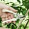 Flower Cutting Stainless Steel Scissors Pruning Fruit Tree Branch Cutting Household Grafting Garden 2