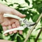 Flower Cutting Stainless Steel Scissors Pruning Fruit Tree Branch Cutting Household Grafting Garden 2