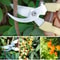 Flower Cutting Stainless Steel Scissors Pruning Fruit Tree Branch Cutting Household Grafting Garden 5