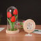 Creative Tulip Night Light Gift For Girlfriend With Glass Cover PU Simulation Valentines Day Decora 2