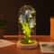 Creative Tulip Night Light Gift For Girlfriend With Glass Cover PU Simulation Valentines Day Decora 3