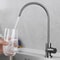 Stainless Steel Kitchen Faucet Rotatable Water Dispenser Sitstand Single Cold Faucet For Pure Drink 2