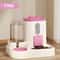 Fully Automatic Cat Food Dispenser Water And Food Integrated Cute Water Dispenser For Cats 4
