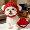 Cozy Soft Maltese Dog Beanie Hat With Ear Flaps Cute Playful Design For Small Dogs Red Winter Indoo 0