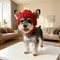 Cozy Soft Maltese Dog Beanie Hat With Ear Flaps Cute Playful Design For Small Dogs Red Winter Indoo 2