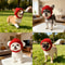 Cozy Soft Maltese Dog Beanie Hat With Ear Flaps Cute Playful Design For Small Dogs Red Winter Indoo 4