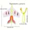 Slingshot Airplane Flying Toy For Kids Light Plane With Flash Educational Toy For Boys And Girls Ou 4
