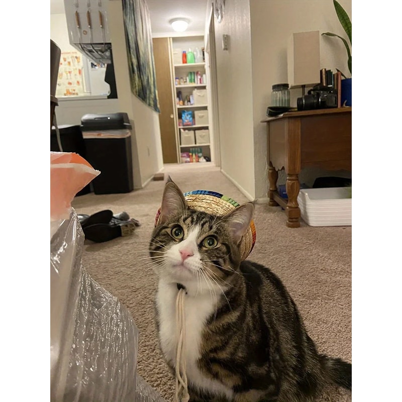 Fashionable Summer Pet Cat Hat, Adjustable Breathable Sun Protection for Cats and Dogs, Party Supplies Decoration