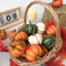 Autumn Simulation Pumpkin For Halloween Party And DIY Autumn Harvest Festival Decoration 0