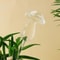 Mushroom Shape Glass Plant Watering Globes Self Watering Drip Irrigation System Rainbow Design