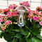 Mushroom Shape Glass Plant Watering Globes Self Watering Drip Irrigation System Rainbow Design